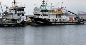 Tekirdağlı balıkçılar sezonu erken kapattı