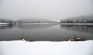 Topuk Yaylası Kış Manzarasıyla Kaplandı