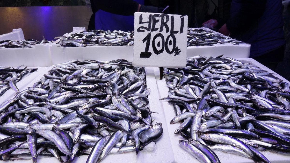 Trabzon’da hamsi ve istavrit bereketi