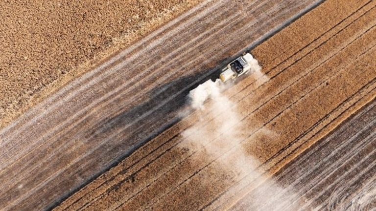 Türkiye genelindeki tarım sayımında sona yaklaşıldı: Sonuçlar yılın ikinci yarısında açıklanacak