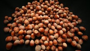 Türkiye’den iki ayda 388 milyon doları aşkın fındık ihracatı geliri