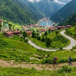 Türkiye’nin 4 ili geleceğin en yaşanabilir şehirleri listesinde