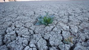 Türkiye’nin kuraklık haritası