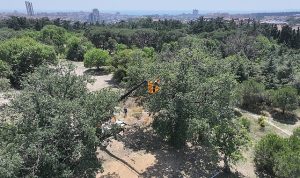 “Üsküdar Belediyesi’nin “Validebağ Korusu”nda Yaptığı Çalışmalar Avrupa’nın En İyi Uygulamaları Arasında