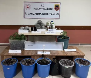 Uyuşturucu Operasyonu: 1 Tutuklama