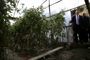 Vali Akbıyık’tan Sel Zedelerine Ziyaret