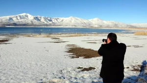 Van Gölü’nde Su Seviyesi Düşüyor