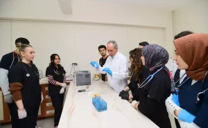 Van Kedisi Kan Grupları Araştırması