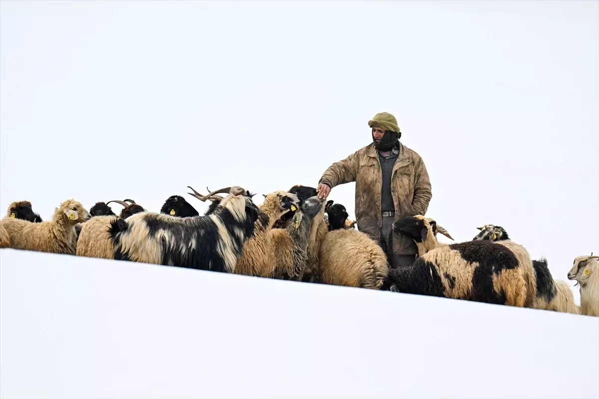 Van’da Baharda Kış Şartları