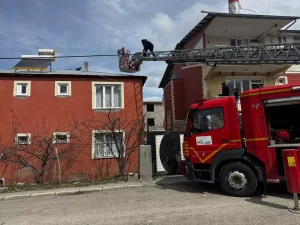 Van’da Çatıda Mahsur Kalan Yavru Kedi Kurtarıldı
