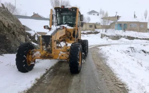 Van’da Kar Yağışı Ulaşımı Olumsuz Etkiledi