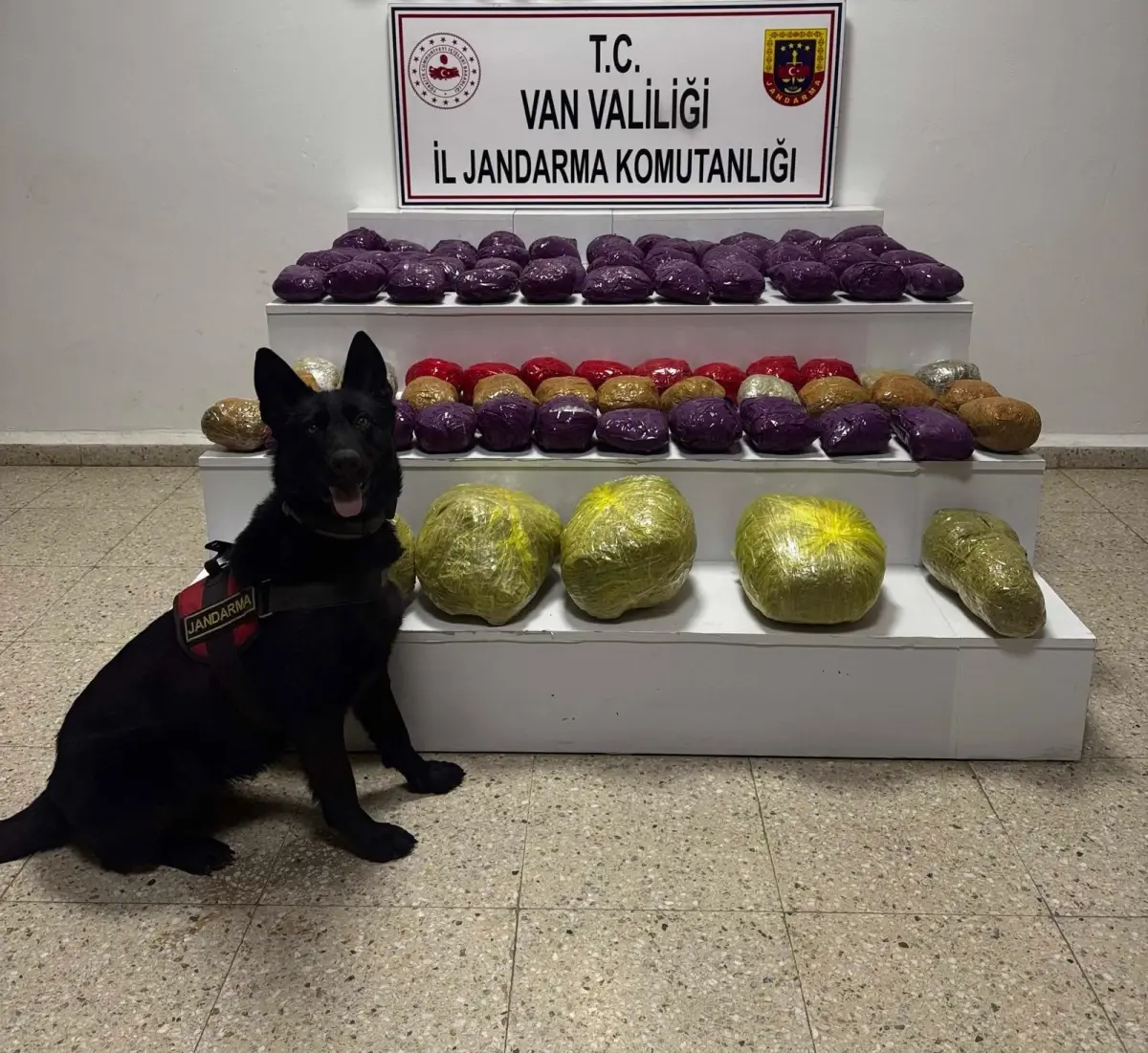 VAN’da Uyuşturucu Operasyonu: 30 Kilo Skunk Ele Geçirildi