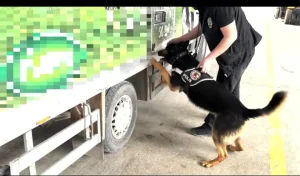 Van’da Uyuşturucu Operasyonu: 90 Kilo Ele Geçirildi