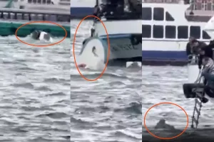 Vapur Tekneye Çarptı, Bir Kişi Kurtarıldı