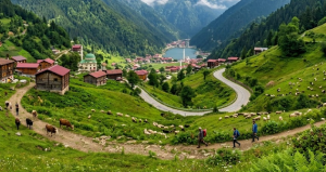 Yapay zeka seçti: Türkiye’nin 4 ili geleceğin en yaşanabilir şehirleri arasında