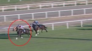 Yarış atı kavurma skandalında yeni gelişme: Sahibine 132 bin TL ceza