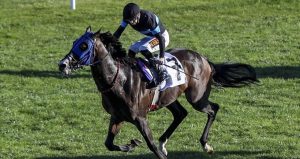 Yarış atı kavurma yapılan iş insanına da 132 bin TL ceza kesildi