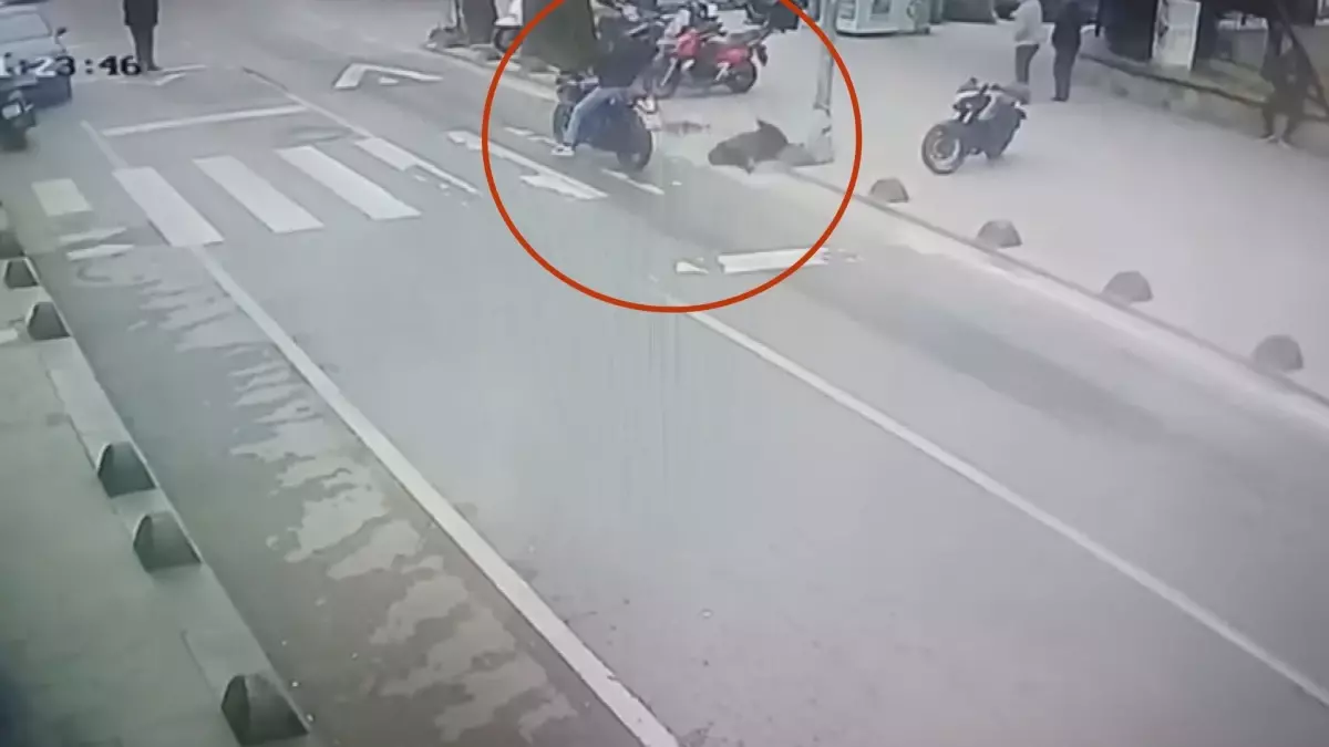 Yaya Geçidinde Kaza: 74 Yaşındaki Adam Yaralandı