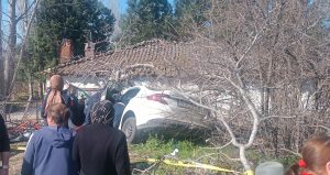 Yoldan çıkan araç ağaçlığa daldı: 2 ölü, 1 yaralı