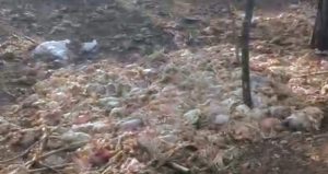 Yüzlercesi ormana atıldı, koku ve görüntü halkı isyan ettirdi