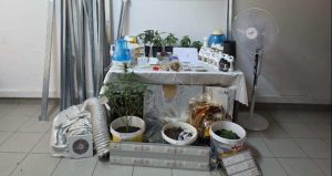 Zehir yuvasına jandarma baskını; 2 gözaltı