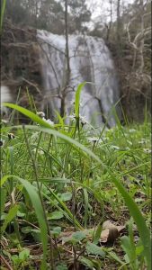 Aladağ’da Şelaleler Coştu