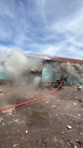 Çorlu’da Yangın ve Köpek Saldırısı