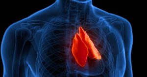 ‘Gereksiz’ denilen o organın kanserle savaştığı ortaya çıktı: Faydasız sanılıp ameliyatla alınıyordu