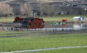 Hafik’te Tarım Arazilerinde Su Birikintileri