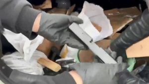 İstanbul’da silah kaçakçılarına operasyon