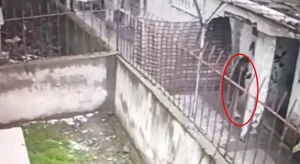 Kayseri’de 4 Hırsız Tutuklandı