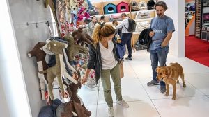 Mart ayının zam şampiyonu: Evcil hayvan ürünleri